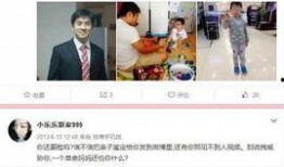 陈继志律师爆料视频全集,揭秘事件真相与内幕