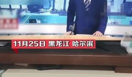 黑龙江新闻频道直播在线观看,实时掌握省内最新动态