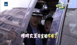 郑恺被爆料大学趣事视频,揭秘校园趣事视频背后的欢乐瞬间