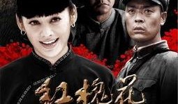 红槐花全集在线观看,穿越时空的浪漫传奇