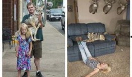 卧底3与狼共舞在线观看,与狼共舞的卧底传奇