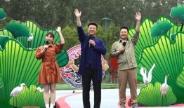 小新娱乐爆料视频大全最新,揭秘娱乐圈最新热点与幕后故事