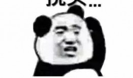 张小寒最新爆料向佐后续