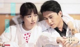 外科风云全集在线观看,揭秘医学巅峰对决的惊心动魄