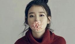 二虎爆料李婷婷视频大全,揭秘背后真相与争议