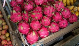 南宁水果爆料事件最新进展,真相逐步浮出水面，官方调查进展更新