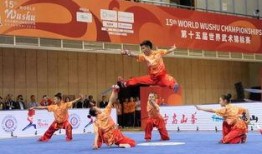 武术世界频道在线观看,在线领略中华武术风采