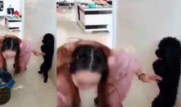 佛妹被爆料视频,揭秘网络舆论背后的真相