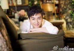 爆料娱乐圈陈晓简介,娱乐圈爆料中的璀璨明星