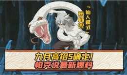 帕克爆料最新视频,独家内幕大公开！