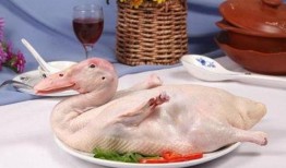 网红鸭子复读机吃瓜,搞笑瞬间引网友热议