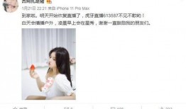 麦蔻粉丝爆料事件视频播放,事件真相揭秘
