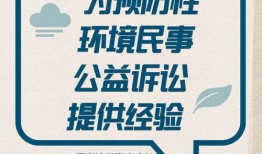 怎样才能叫澎湃新闻爆料,如何成为舆论焦点