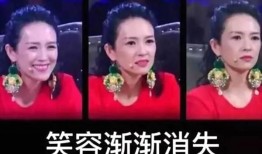 韩涵爆料事件真相视频播放,揭秘背后惊人内幕