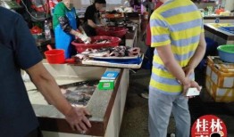 娱乐吃瓜酱恋爱脑男朋友,娱乐吃瓜酱的甜蜜日常