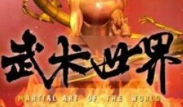 武术世界频道在线观看,在线领略中华武术风采