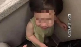 丹东女厕爆料事件视频,真相与争议交织