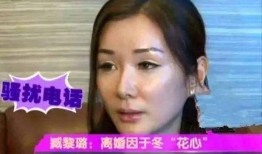 老浪前妻爆料视频,视频爆料揭露惊人内幕