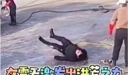 沙雕洪荒爆料视频,揭秘神秘视频背后的搞笑真相