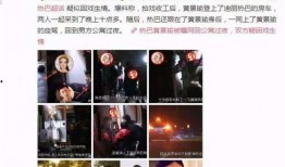 麦蔻粉丝爆料事件视频播放,事件真相揭秘
