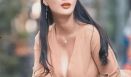 一路向西高在线观看,高在线的视觉盛宴之旅