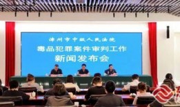 漳州最新爆料事件新闻发布会,新闻发布会揭露真相与进展