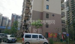 新宇星城爆料事件最新,揭秘背后真相与争议