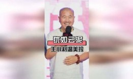 温美玲爆料王小利视频播放,真相背后引热议