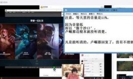 麦蔻粉丝爆料事件视频播放,事件真相揭秘