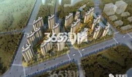 城东某楼盘爆料新闻视频,揭秘神秘项目背后的真相与争议