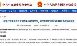 黑龙江最新爆料,揭秘神秘事件背后的真相