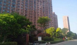 悦珑湾最全消息爆料视频,全方位解析视频爆料内容