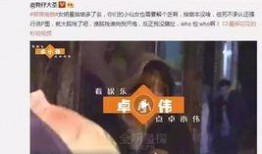网友爆料被打脸视频播放,真相揭晓，反转剧情引热议
