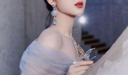 杨紫小说爆料最新,揭秘娱乐圈背后的秘密与真相