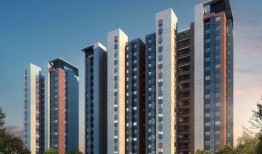 悦珑湾最全消息爆料视频,全方位解析视频爆料内容