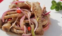 鸡爪养殖爆料方法大全视频,视频爆料全方位养殖技巧解析