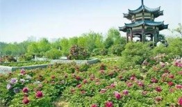 洛阳植物园爆料案件最新,惊现神秘盗窃案，真相即将揭晓