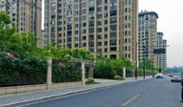 杭州西湖区爆料事件视频,视频揭露惊人真相