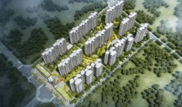 城东某楼盘爆料新闻视频,揭秘神秘项目背后的真相与争议