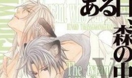 恋爱暴君bl在线观看,揭秘恋爱暴君BL在线观看背后的激情与禁忌