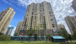 新宇星城爆料事件最新,揭秘背后真相与争议