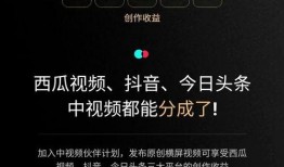抖音客服爆料流程视频,一键举报，守护网络环境