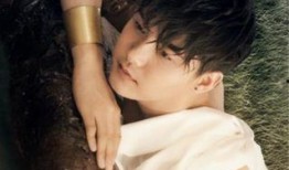 马天宇最新爆料视频,娱乐圈背后的惊人真相