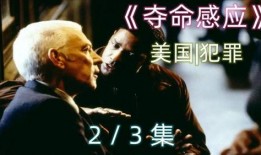 在线观看夺命感应,揭秘超自然现象背后的惊悚真相