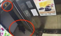 杭州爆料女孩事件真相视频,真相视频揭示的惊人内幕