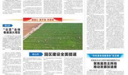 云南爆料最新新闻事件,神秘事件引发社会关注