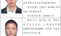 张家界爆料新闻,神秘事件引发热议