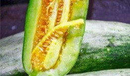 有哪个网红有瓜吃,揭秘哪些网红有瓜吃