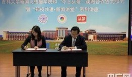 吉林市今日头条爆料新闻,详情揭晓...