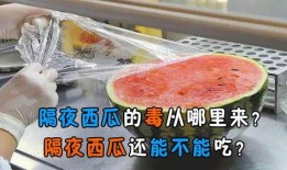 鄂州一家人免费吃瓜,共享夏日清凉时光